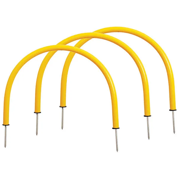 DS Passing Arcs (Set of 10)